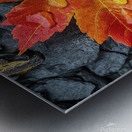 Maple Leaf Stream Shale Metal print