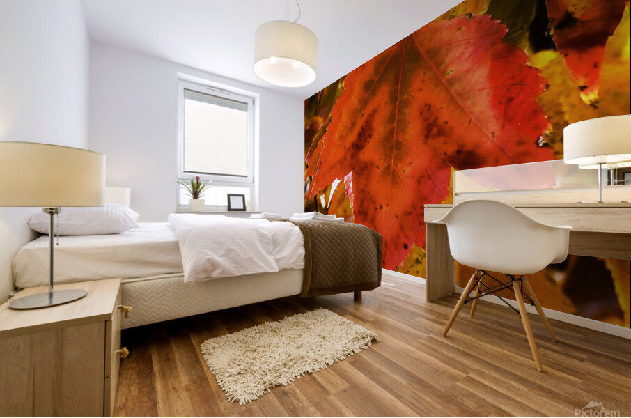 Single Leaf Mural print