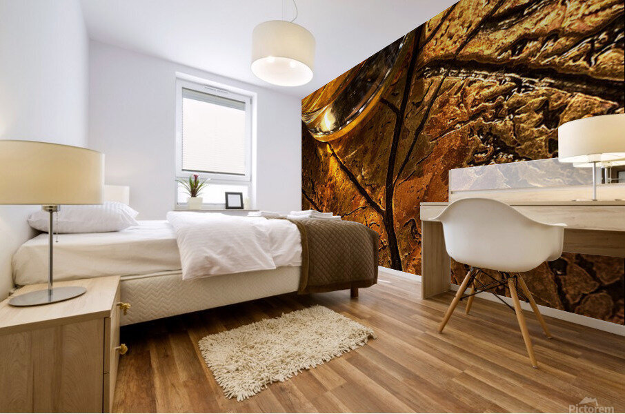 Glass on copper leaf Mural print