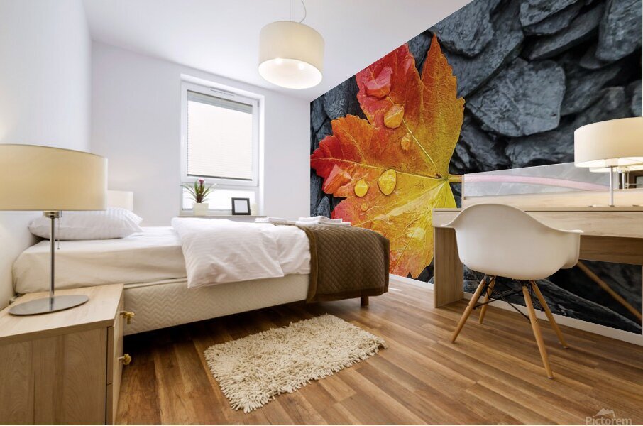 Maple Leaf Stream Shale Mural print