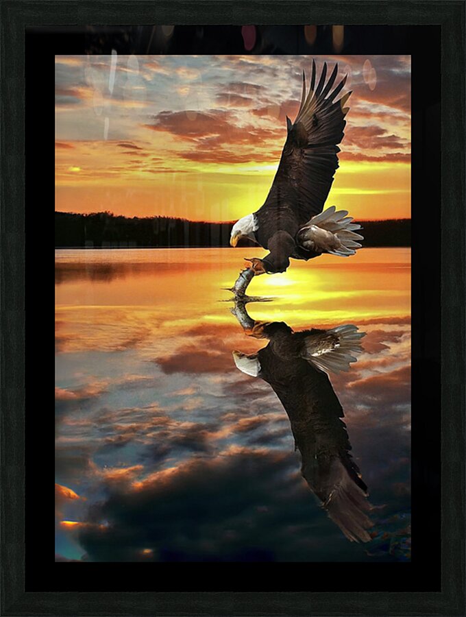 Eagle Sunset Reflection Picture Frame print