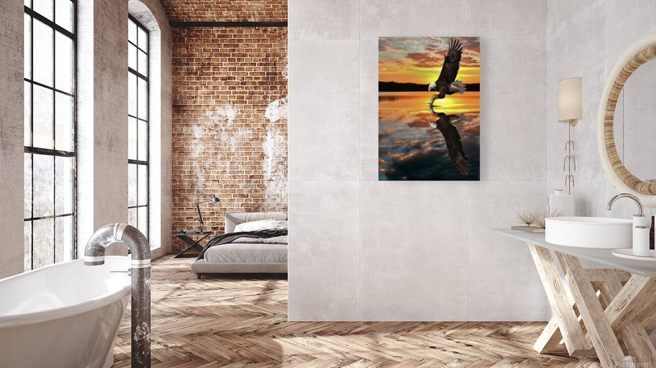 Eagle Sunset Reflection Reproduction