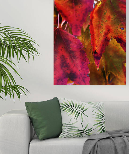 Mutiple Leaves Reproduction