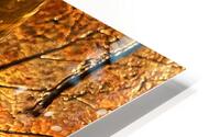 Glass on copper leaf HD Metal print