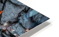Maple Leaf Stream Shale HD Metal print