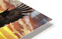 Eagle Sunset Reflection HD Metal print