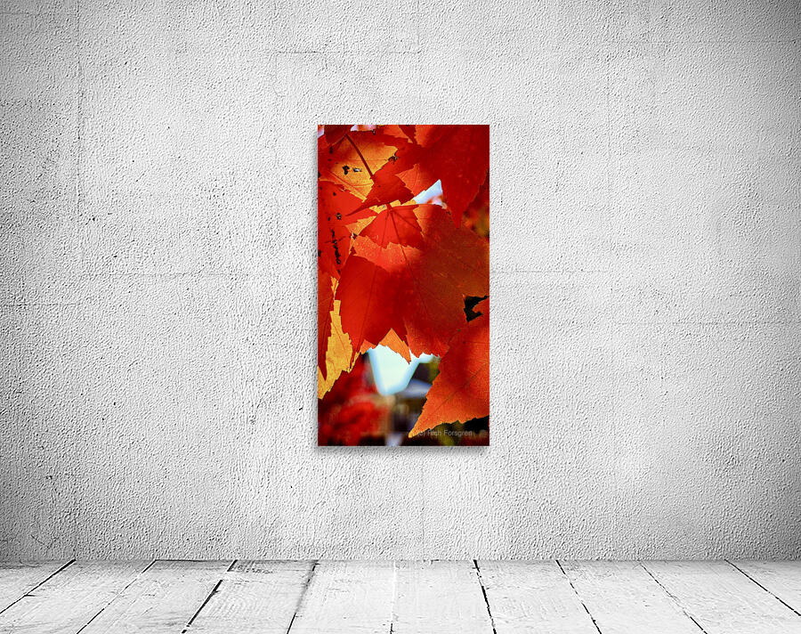 Leaves Backlight 1 Wall Preview