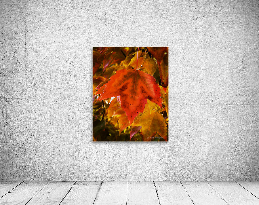 Single Leaf Wall Preview