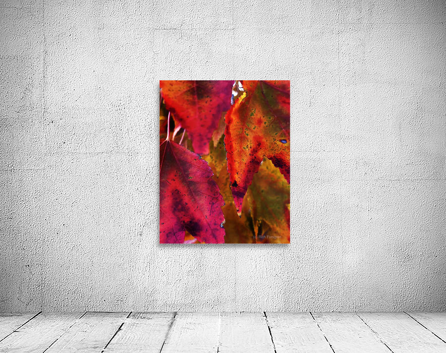 Mutiple Leaves Wall Preview