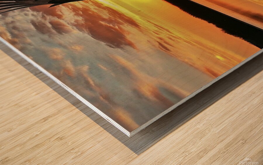 Eagle Sunset Reflection Wood print