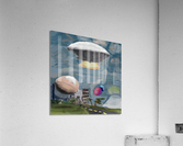 Ace World Acrylic Print