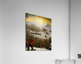 The $lopes Acrylic Print