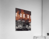 Blaze Acrylic Print