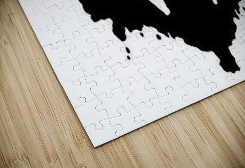 What do you see  Ace Wilson puzzle