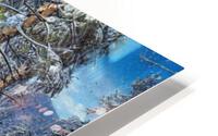 Snow Show HD Metal print