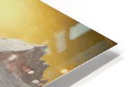 The $lopes HD Metal print