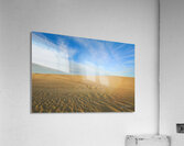The Dunes Acrylic Print
