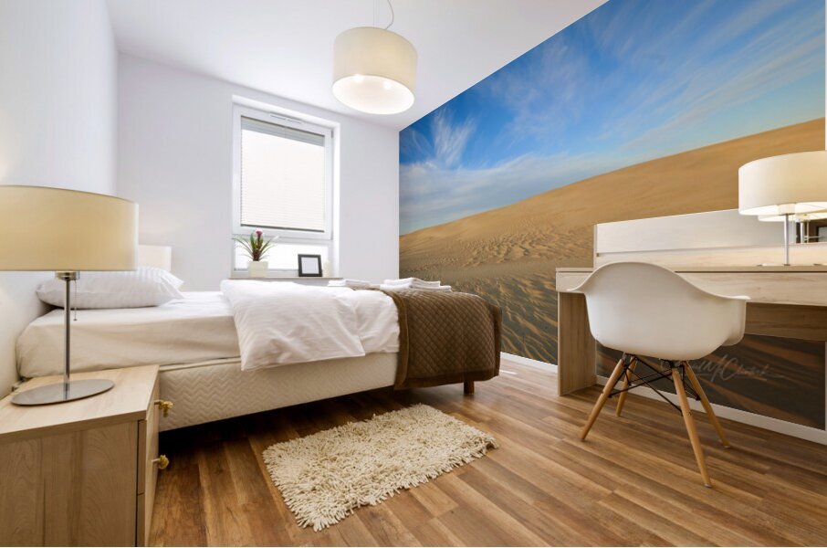 The Dunes Mural print