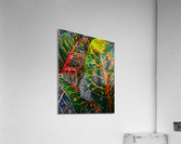 Tea Leaf Dye Acrylic Print