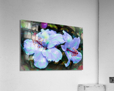 Twin Flakes Acrylic Print