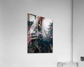 Ivy Trunks Acrylic Print