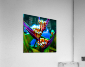 Green Tooth Canal Acrylic Print