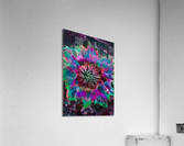 Locus Flower Trap Acrylic Print