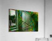Prong Highlights Acrylic Print