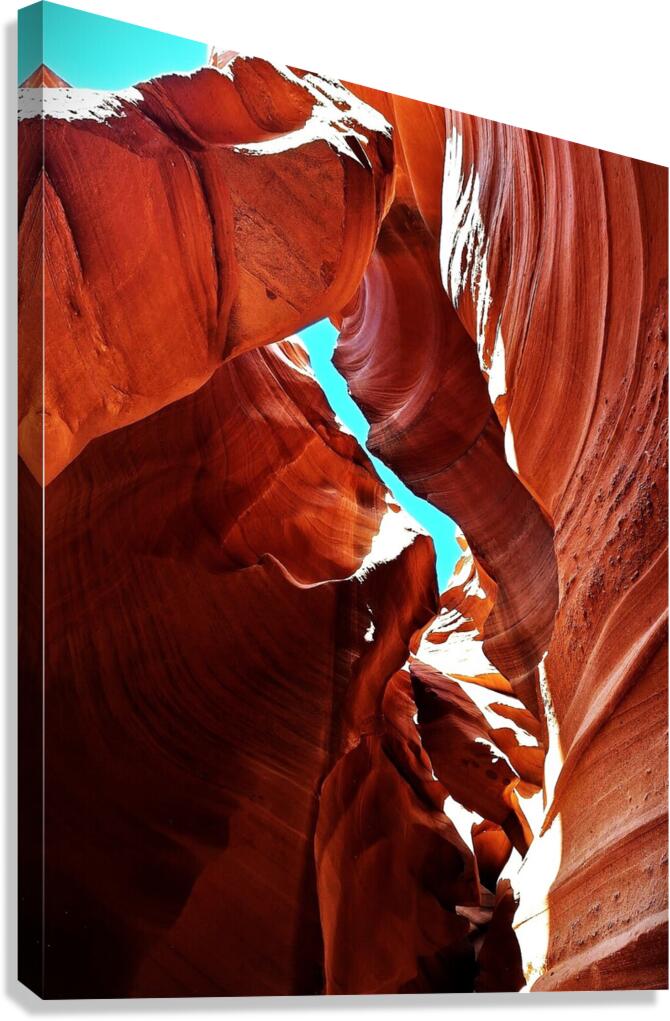 Red Orange Glyphs Canvas Print