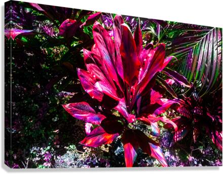 Red Tea Leaf Yin Yang Canvas Print