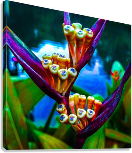 Green Tooth Canal Canvas Print