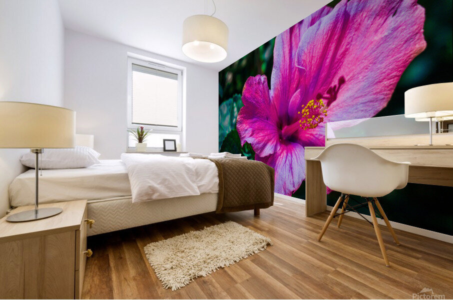 Pink Glory Hibiscus Mural print