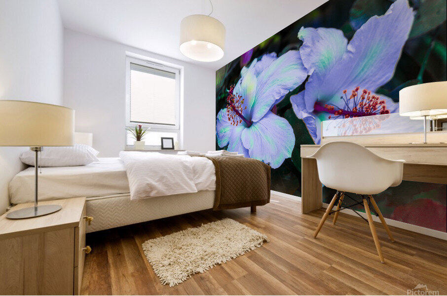 Twin Flakes Mural print