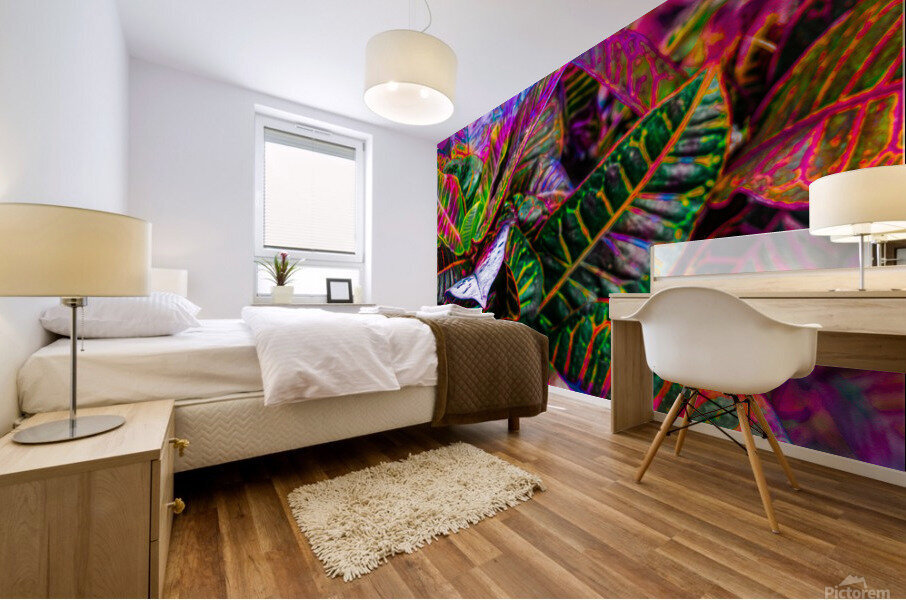 Rainbow Sunburn Mural print