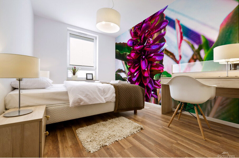 Red Ginger Contrast  Mural print
