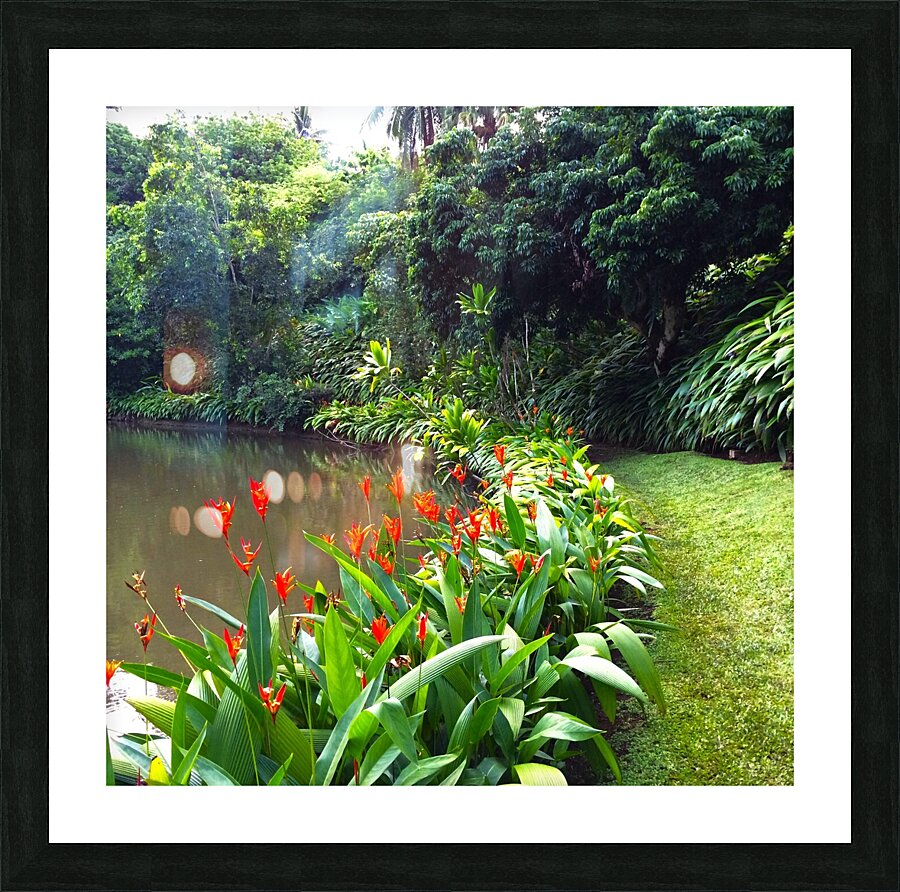 Paradise Trail Picture Frame print