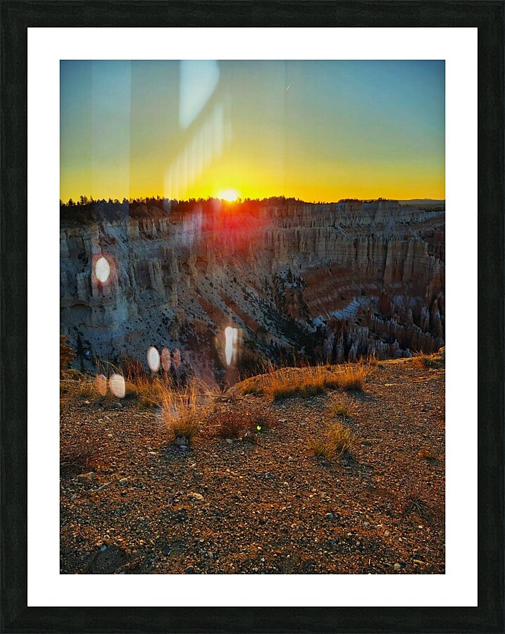 Sun Shadow Picture Frame print