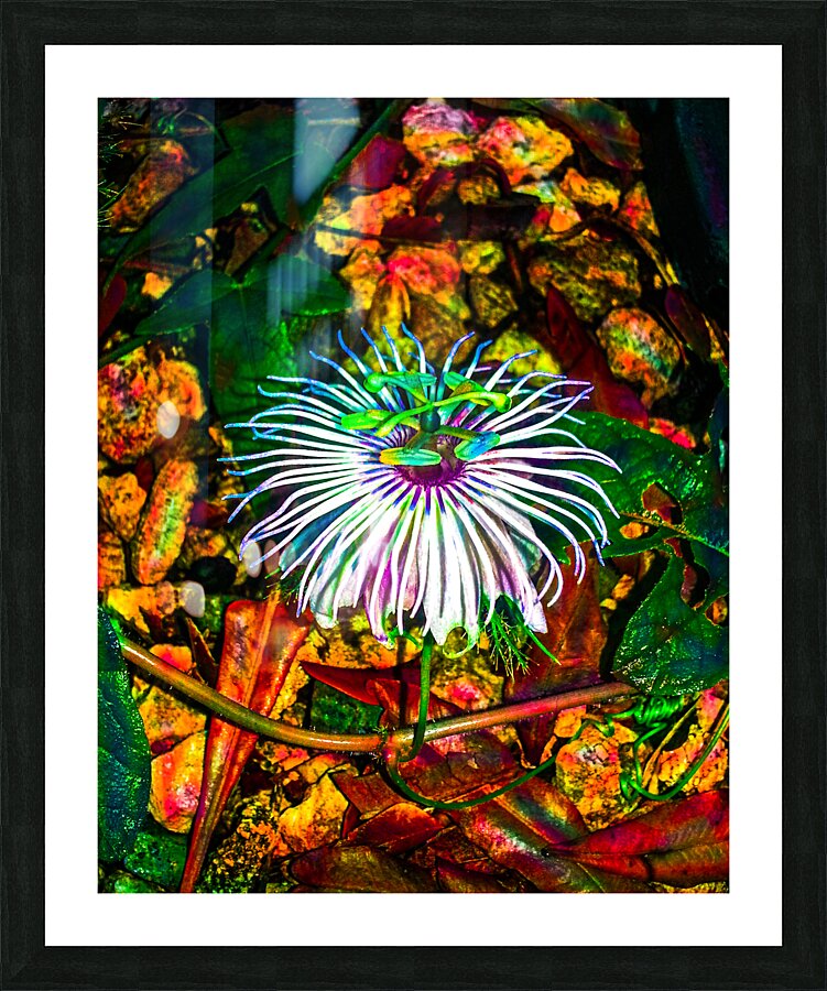 Turnpine Weed Flower Picture Frame print