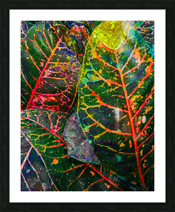 Tea Leaf Dye Picture Frame print
