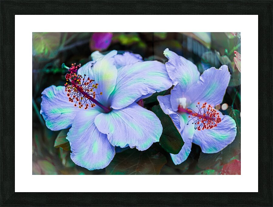 Twin Flakes Picture Frame print