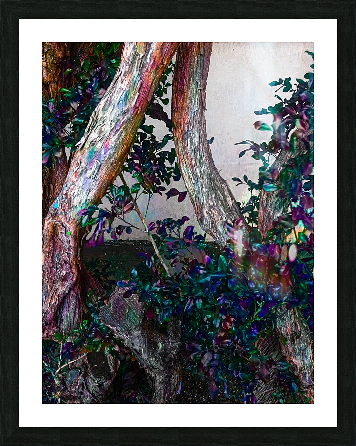 Ivy Trunks Picture Frame print