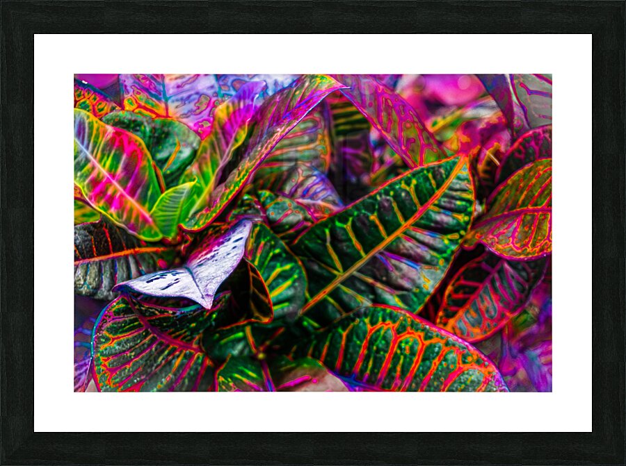 Rainbow Sunburn Picture Frame print