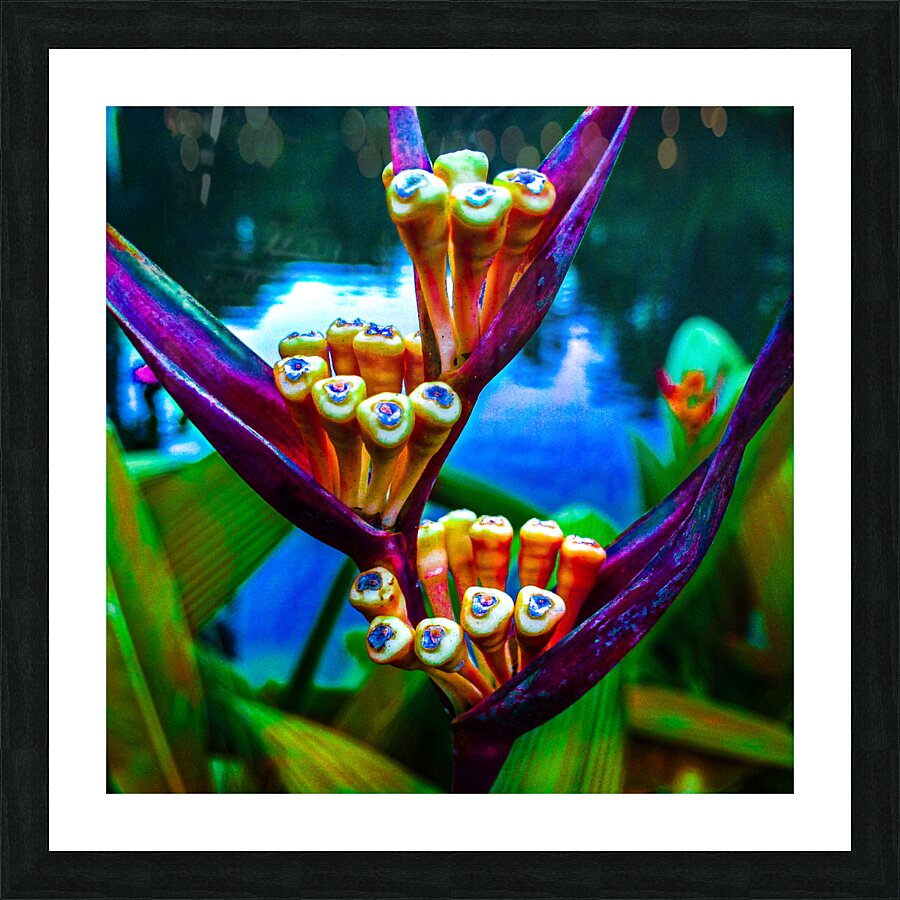 Green Tooth Canal Picture Frame print