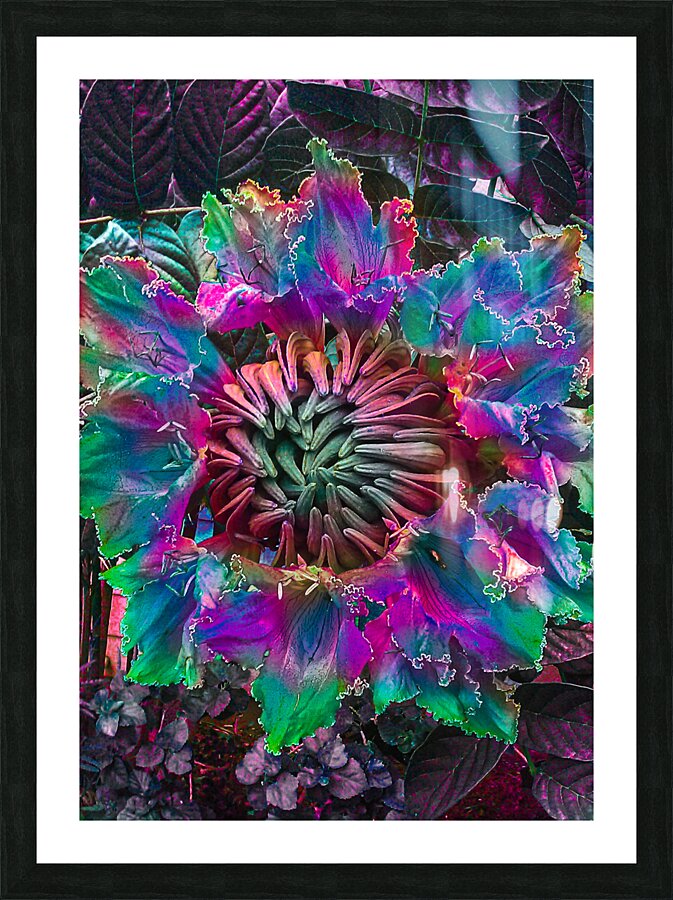 Locus Flower Trap Picture Frame print