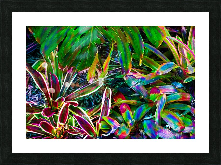 Mixed Plate Lunch Picture Frame print