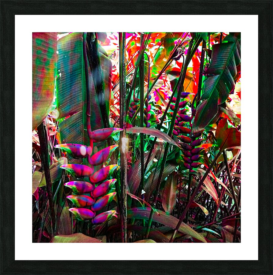 Crowded Roots Picture Frame print