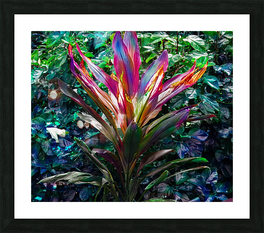 Cold Tea Leaf Terrain Picture Frame print