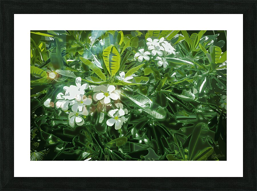 Plumeria Lights  Picture Frame print