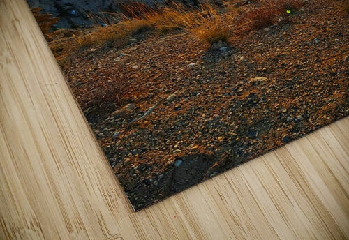 Sun Shadow Vanwizle puzzle