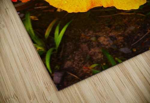 Happy Hibiscus Vanwizle puzzle